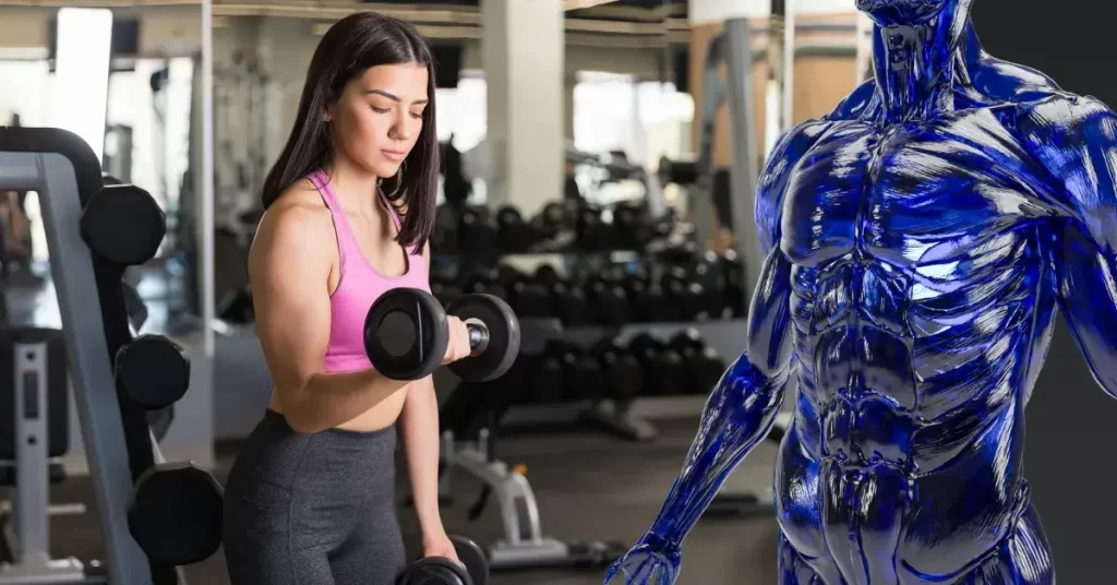 Que é Massa Muscular Esquelética
